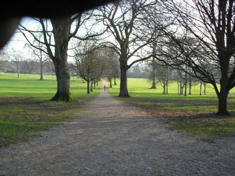 The Cottage At Weston Lawn Бат Екстериор снимка